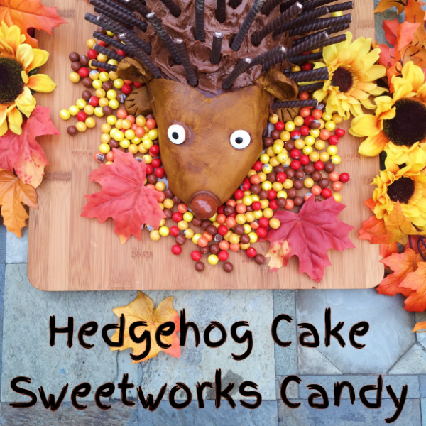 hedgehog-cake-sweetworks1