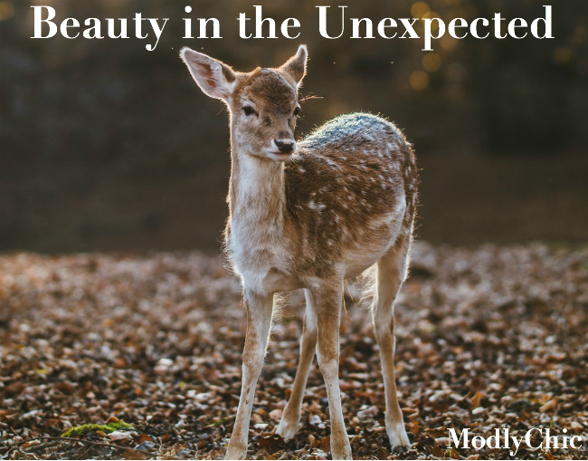 unexpected-beauty