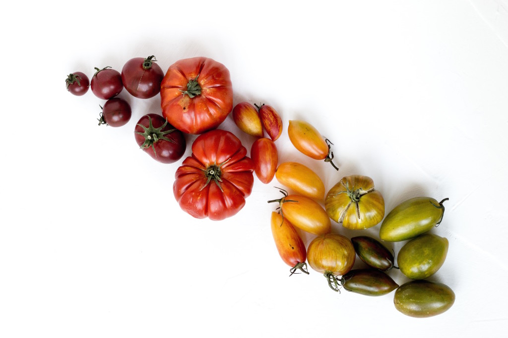 rezel-apacionado-362232